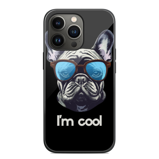 iPhone 13 Series Mobile Phone Case | Glass